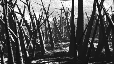 David Lobser spike field