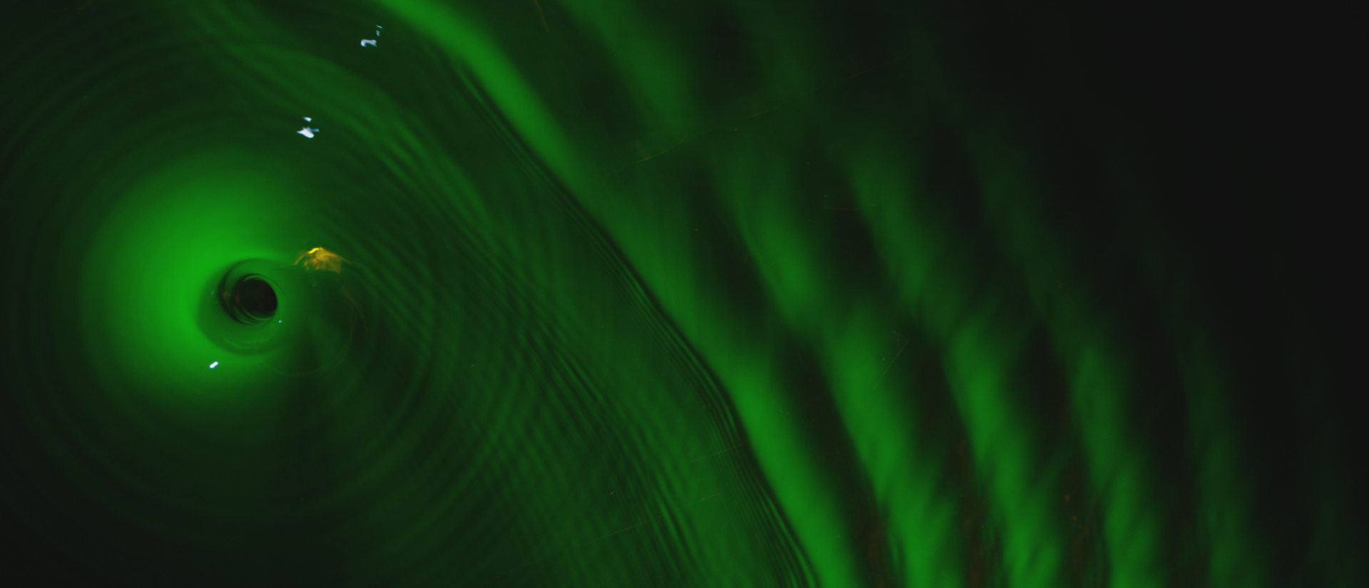 Vortex simulation of a black hole