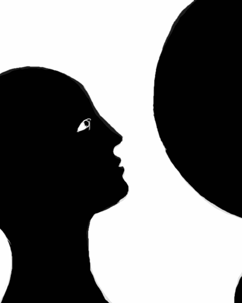 Looking into the Black Hole